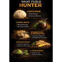 HUNTER | Pineapple Ginger Energy Nootropic Blend